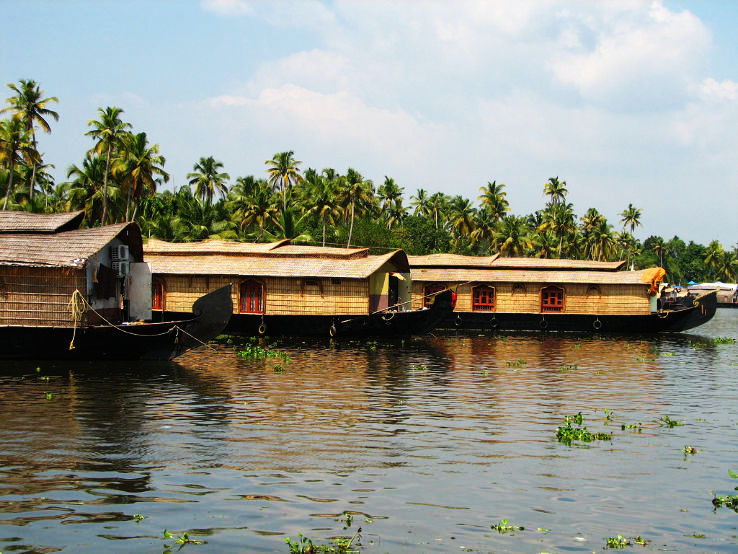 3. Alleppey